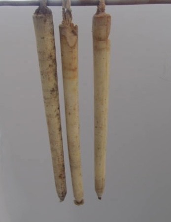 Early 19th. century Tallow Candles