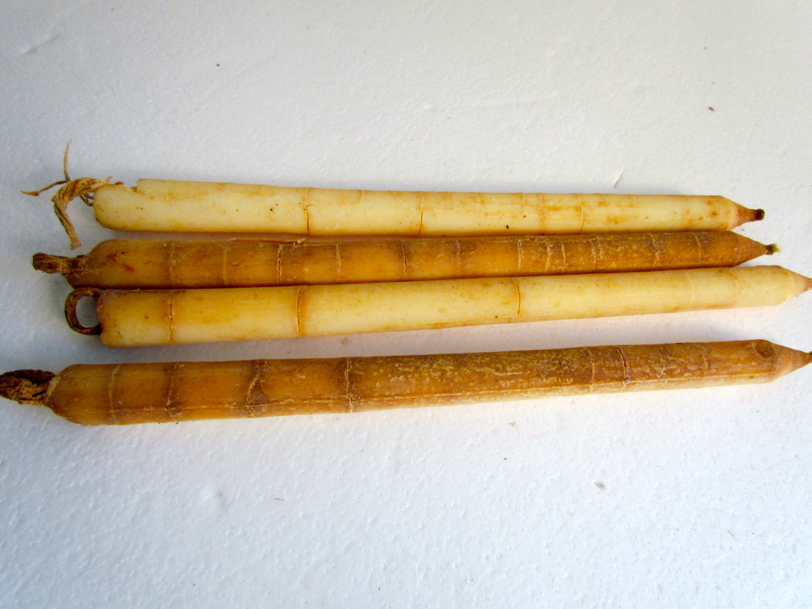 tallow définition What is